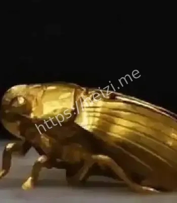 专家九亿估值