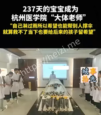 237天大体老师
