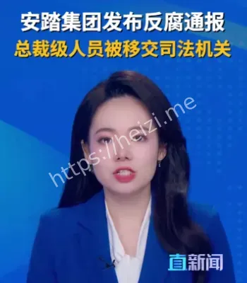 安踏高管违法