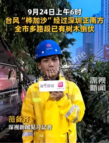 桦加沙
