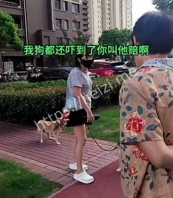 狗吓到孩子