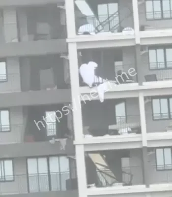 地库集体避难