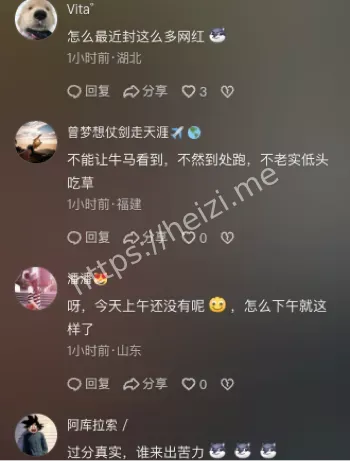 被禁止关注