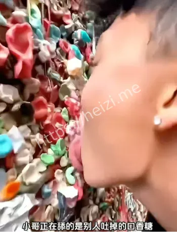 网暴风波热议