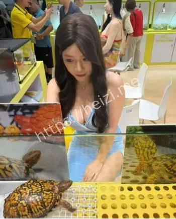龟友大饱眼福