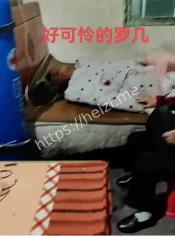 藏草丛逃逸