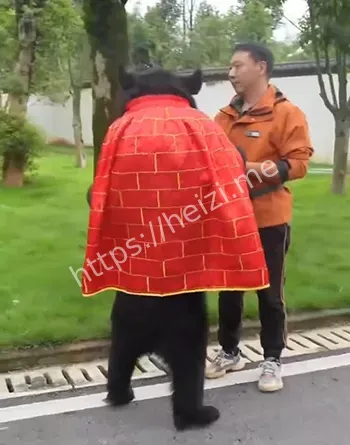 真熊争议
