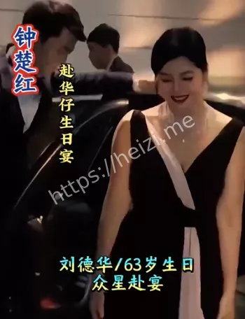 老港星阵容