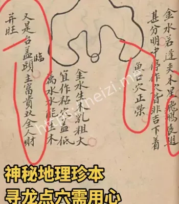 千年秘宝