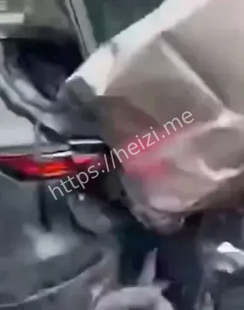 货车监管