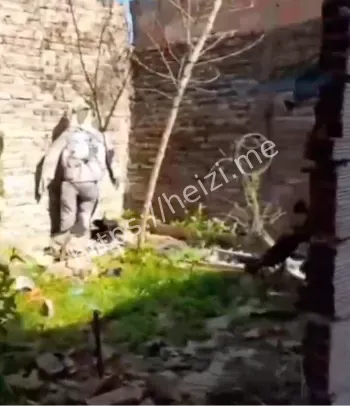 阿根廷直播