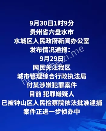 付进