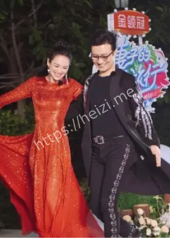 汪峰婚内出轨