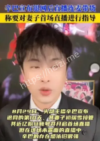 辛巴退网