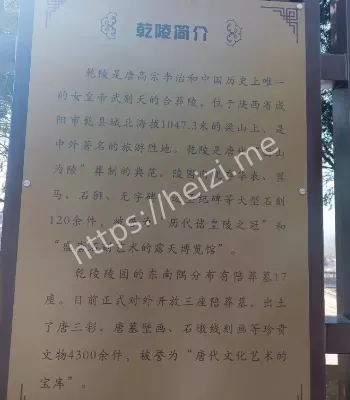 唐朝秘闻