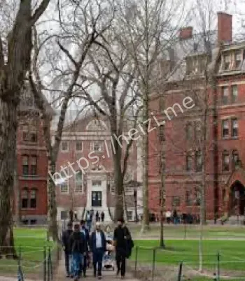哈佛大学