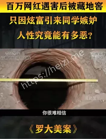 罗大美遇害案