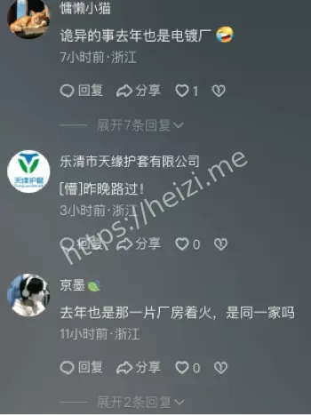 电镀园大火