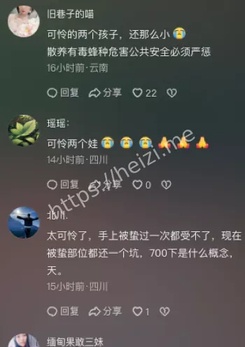 云南农村养蜂