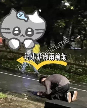汪小菲