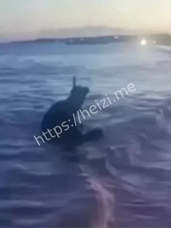 游客强行拖拽