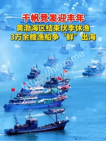黄渤海区
