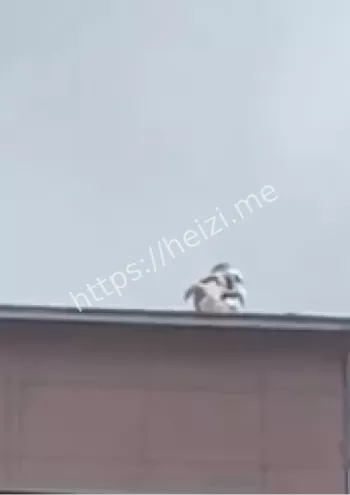 消防救援