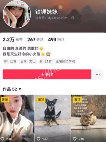 铁锤妹妹