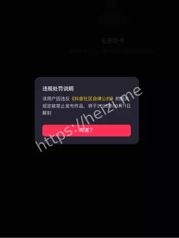 录屏视频外泄