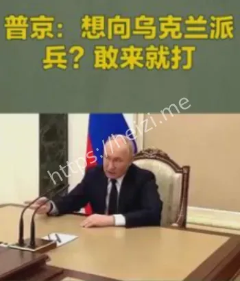 俄乌局势