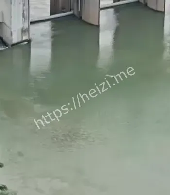 聊天记录曝光