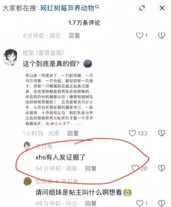 出轨