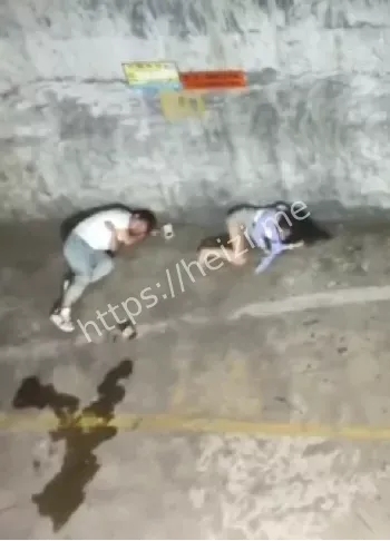 藤县疯牛突袭