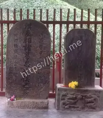 颠覆史料