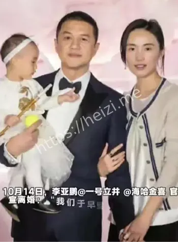 李亚鹏欠债4000万败诉