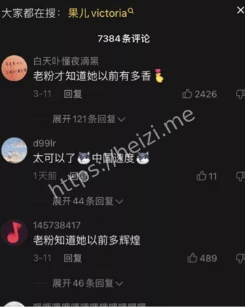 浓眉女侠