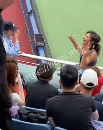 贝雷蒂尼马纳里诺比赛中断