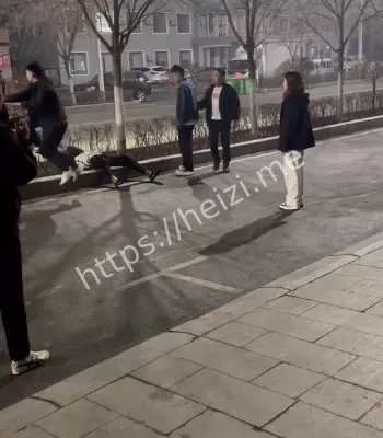东北精神小伙