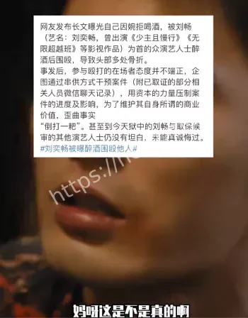 刘奕畅酒后殴人