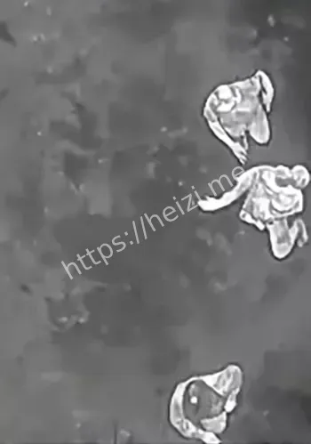 警犬追踪