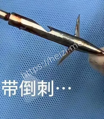 驱车千里救狗