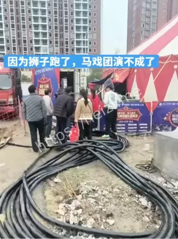 街头惊魂