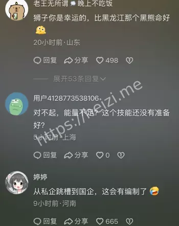 狮子狂奔