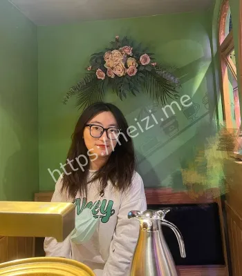 斯文反差婊