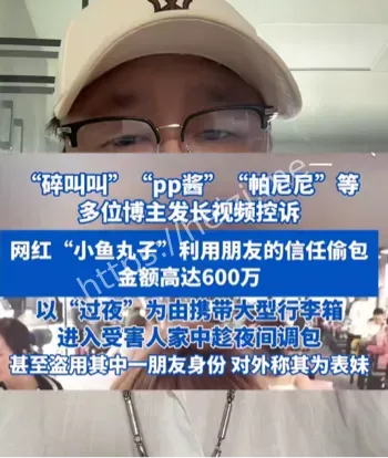 帕尼尼