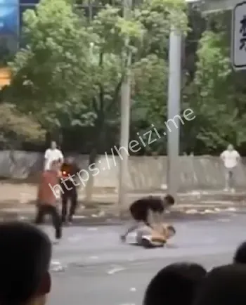 大哥折扇乌龙