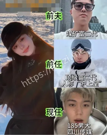 韦雪秦奋事件