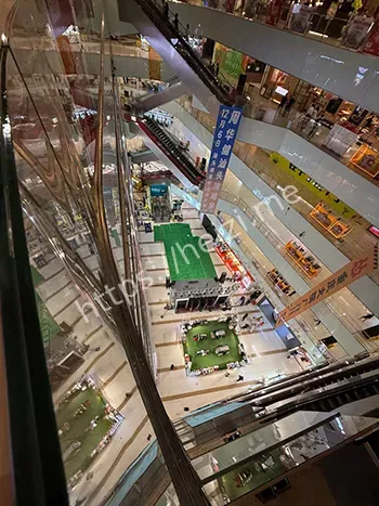 脑浆迸溅
