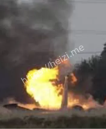 纽约机场安全隐患乘客硬着陆