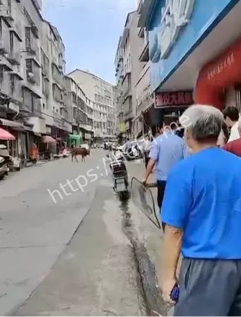 乡村管理